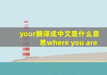 your翻译成中文是什么意思where you are